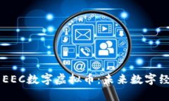 深入解析EEC数字虚拟币：