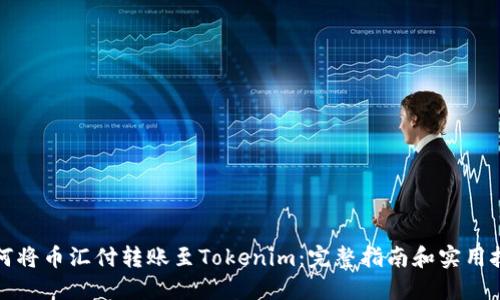 如何将币汇付转账至Tokenim：完整指南和实用技巧