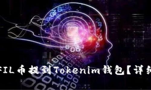 如何将交易所的FIL币提到Tokenim钱包？详细指南与注意事项