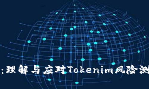 深入分析：理解与应对Tokenim风险测评的策略
