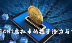 深入分析CNT虚拟币的投资