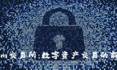 了解Tokenim交易所：数字资