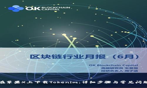 如何在苹果X上下载Tokenim：详细步骤与常见问题解答