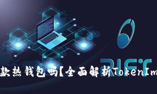TokenIm是一款热钱包吗？全面解析TokenIm的特性与应用