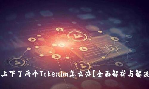 手机上下了两个Tokenim怎么办？全面解析与解决步骤