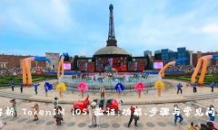 全面解析 TokenIM iOS 验证：