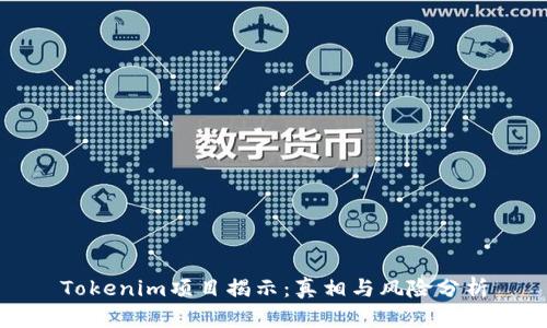 Tokenim项目揭示：真相与风险分析