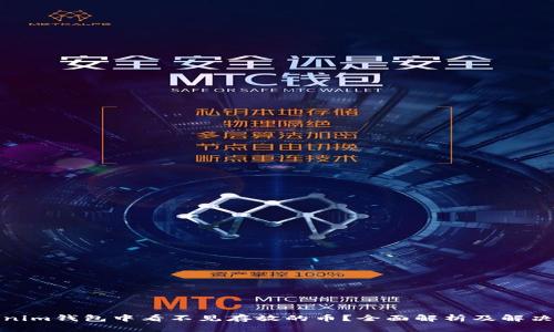 Tokenim钱包中看不见存放的币？全面解析及解决方案