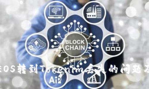 如何处理EOS转到Tokenim丢失的问题及解决方案