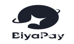  下载Tokenim安卓版 - 简易钱