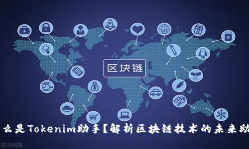 什么是Tokenim助手？解析区块链技术的未来助手