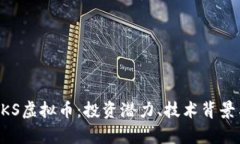 深入了解KKS虚拟币：投资