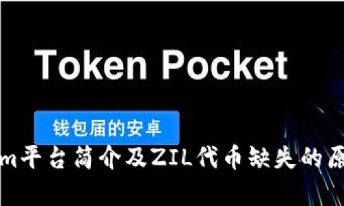 Tokenim平台简介及ZIL代币缺失的原因分析