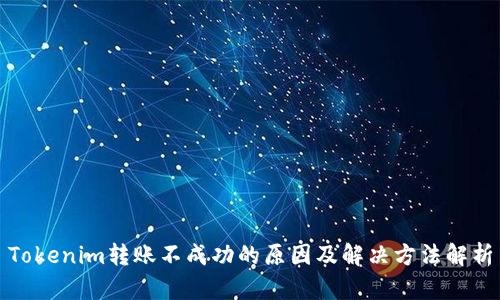 Tokenim转账不成功的原因及解决方法解析