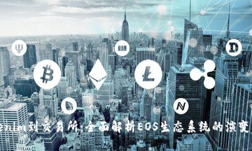 从Tokenim到交易所：全面解析EOS生态系统的演变与发展