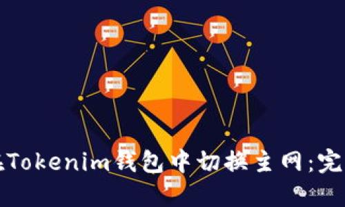 如何在Tokenim钱包中切换主网：完整指南